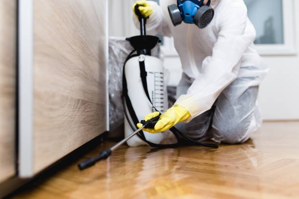 DeAnza Termite & Pest Control technician performing termite inspection