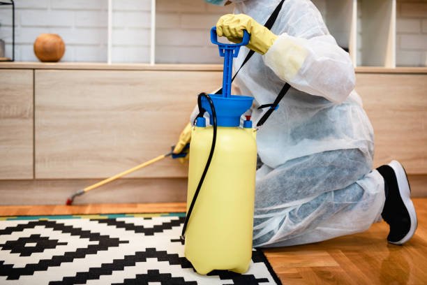 DeAnza technician performing foundation inspection for termites