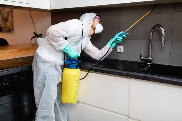 DeAnza technician inspecting for termites with flashlight and tools