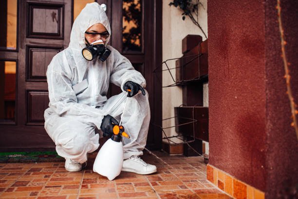 Local extermination services by DeAnza Termite and Pest Control experts