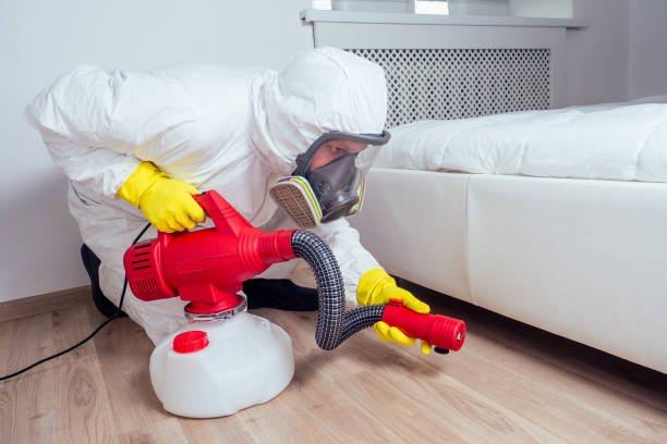 Home pest control service targeting termites and common household pests