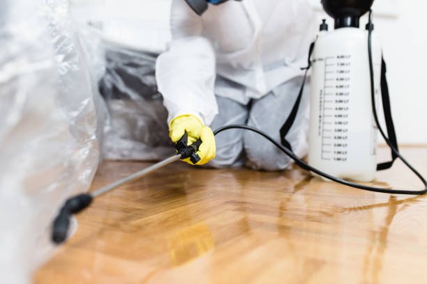 DeAnza Termite & Pest Control providing residential pest control in Deluz, CA