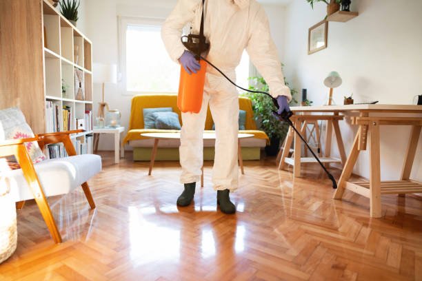Pest control technician inspecting a property in Wildomar, CA