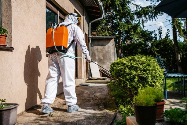 DeAnza Termite & Pest Control treating residential pests in Fallbrook, CA
