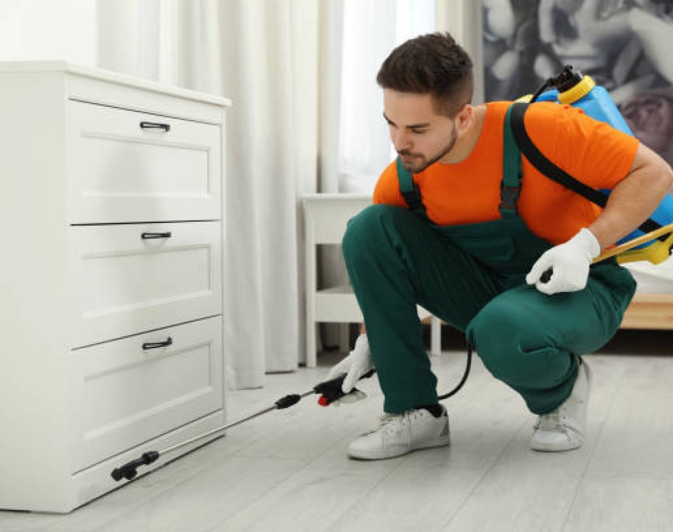 Pest control worker spraying insecticide near chest of drawers indoors Professional pest control solutions in Winchester, CA residential area
