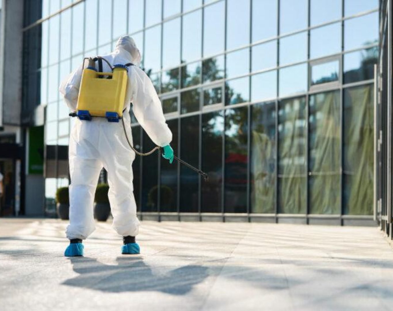 Property manager reviewing commercial pest control report from Deanza Termite & Pest Control