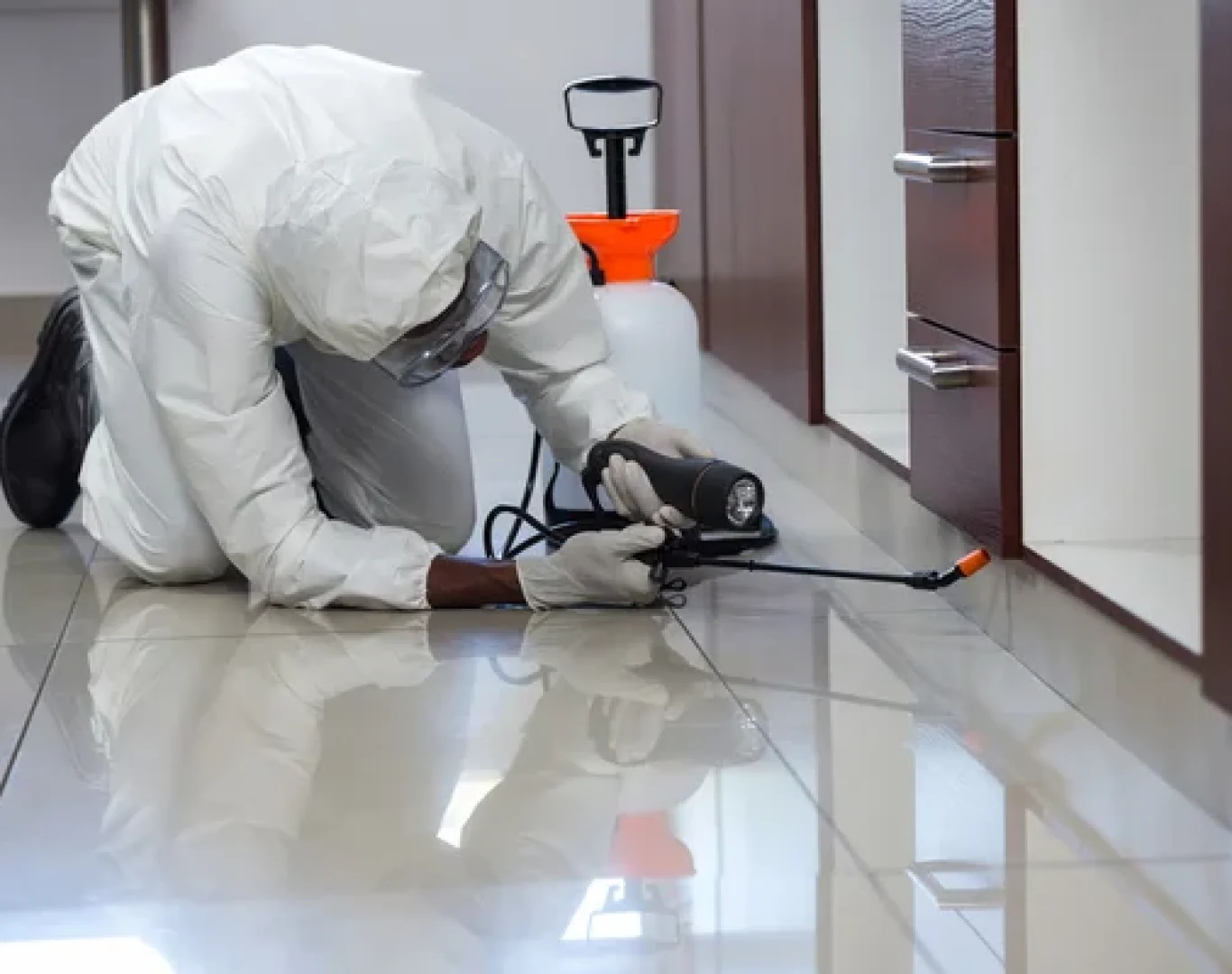 image 332 Pest control technician working professionally in Deluz, CA home