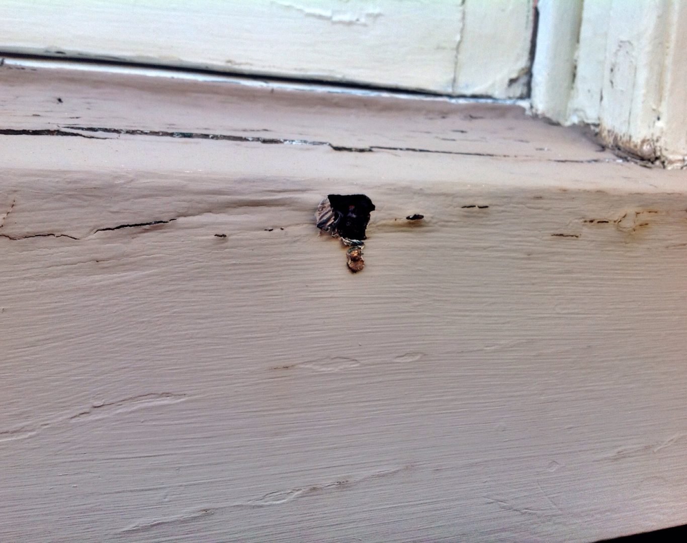 Close-up of termite damage inside wall studs discovered during home inspection
