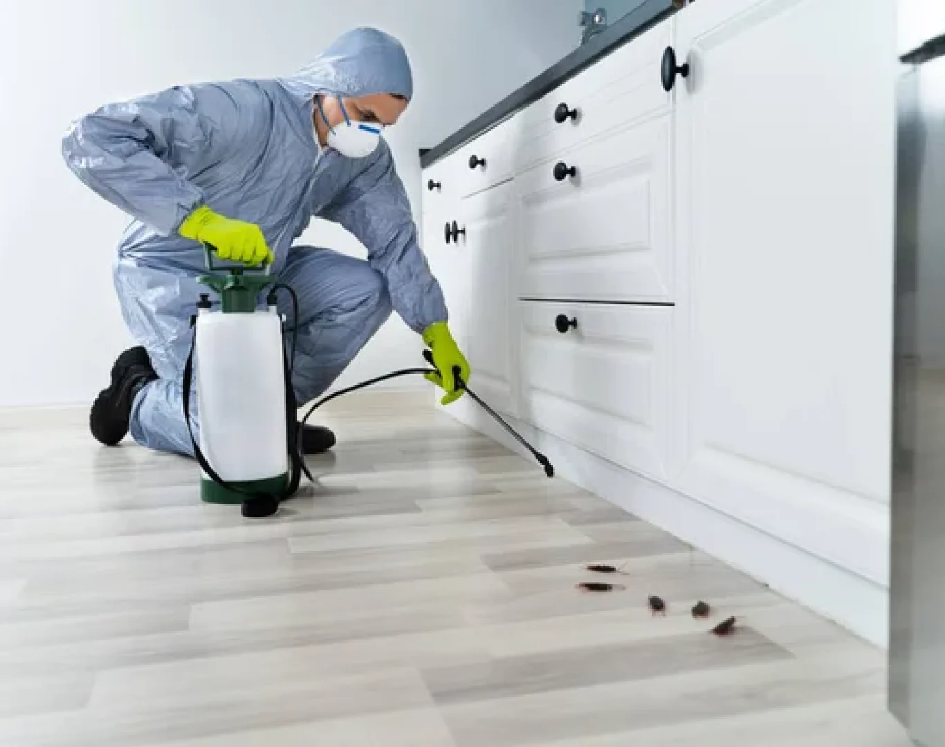 image 445 Pest control technician treating home in Fallbrook, CA with safe products