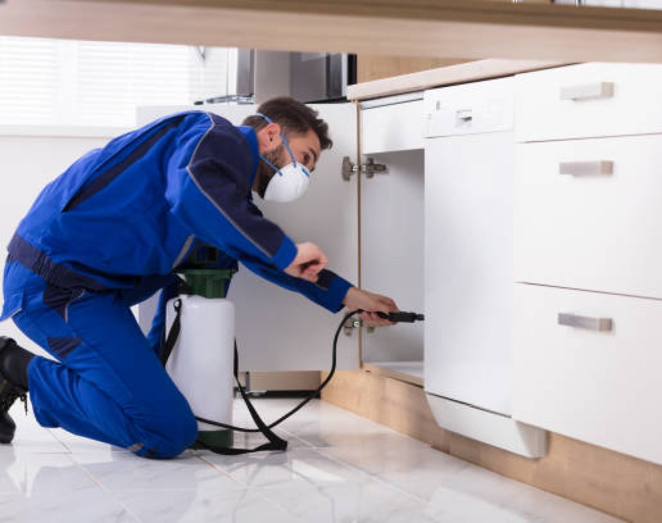 Man Spraying Pesticide Inside The Wooden Cabinet In The Kitchen Pest control expert treating a home in Hemet, CA neighborhood