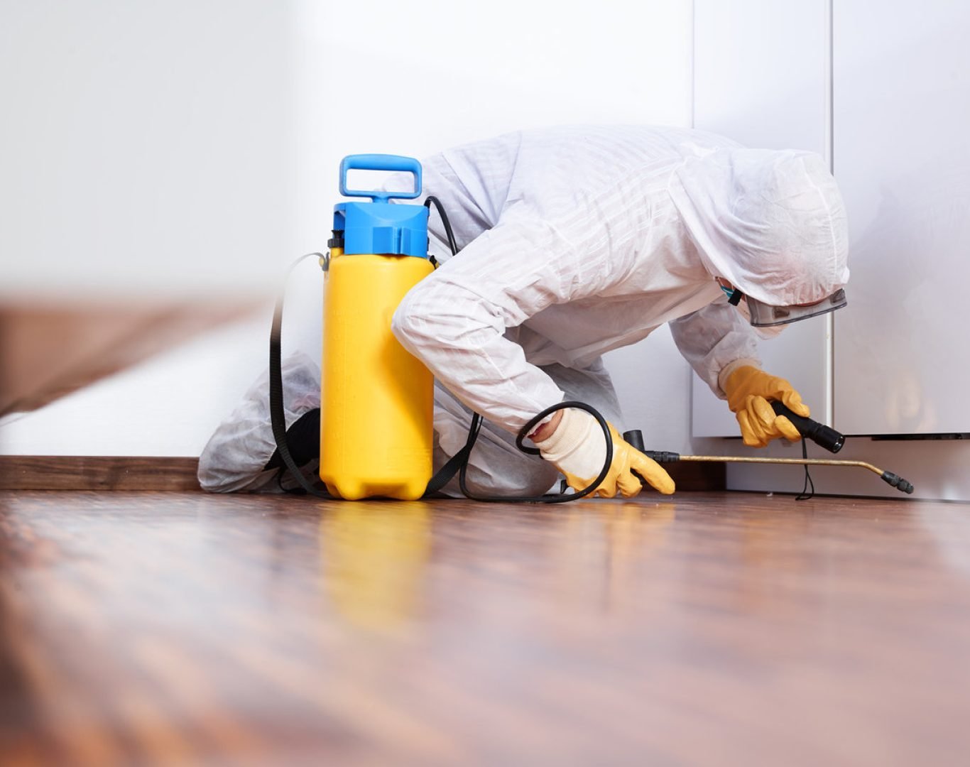 image Pest Control Services in Temecula, CA by Deanza Termite & Pest Control