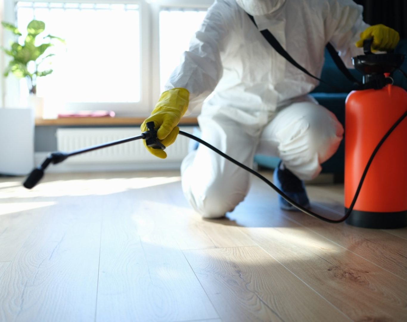 Pest Control Services in Temecula, CA by Deanza Termite & Pest Control