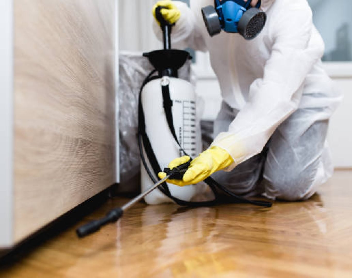DeAnza Termite & Pest Control technician performing termite inspection