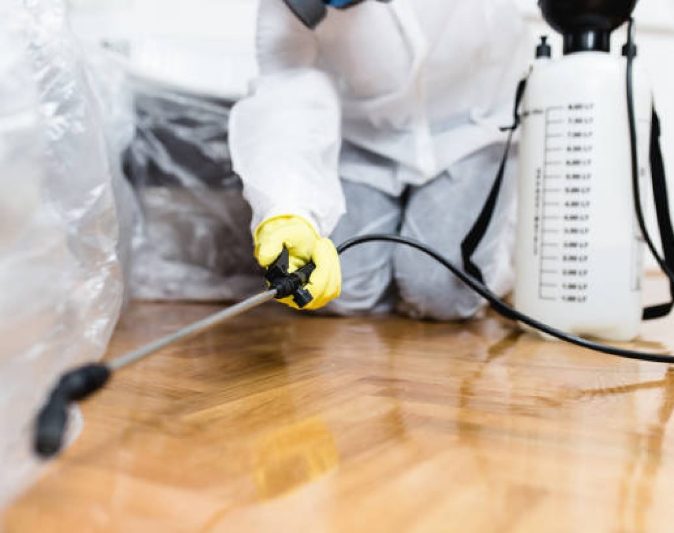 DeAnza Termite & Pest Control providing residential pest control in Deluz, CA