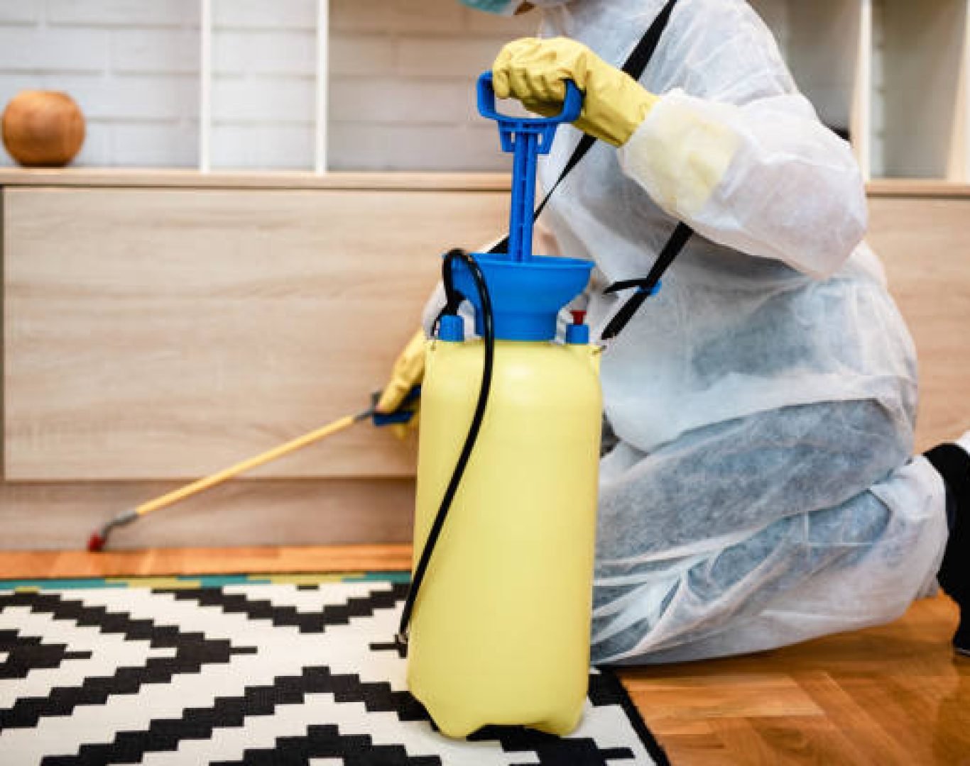 DeAnza technician performing foundation inspection for termites