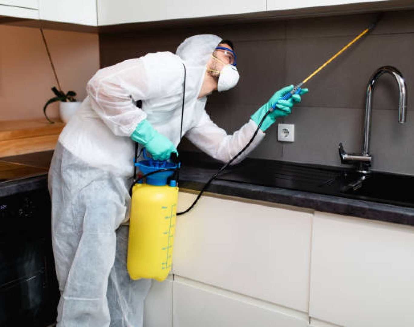 DeAnza technician inspecting for termites with flashlight and tools