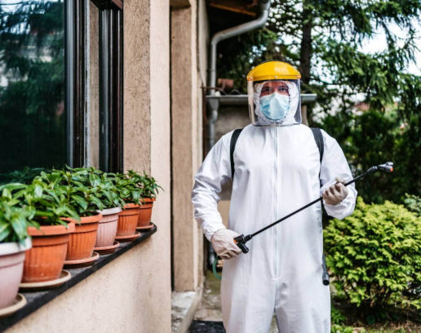 Professional residential pest control treatment for a Deluz, CA home