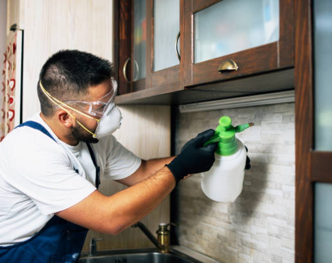 Professional termite inspection tools used in Menifee property