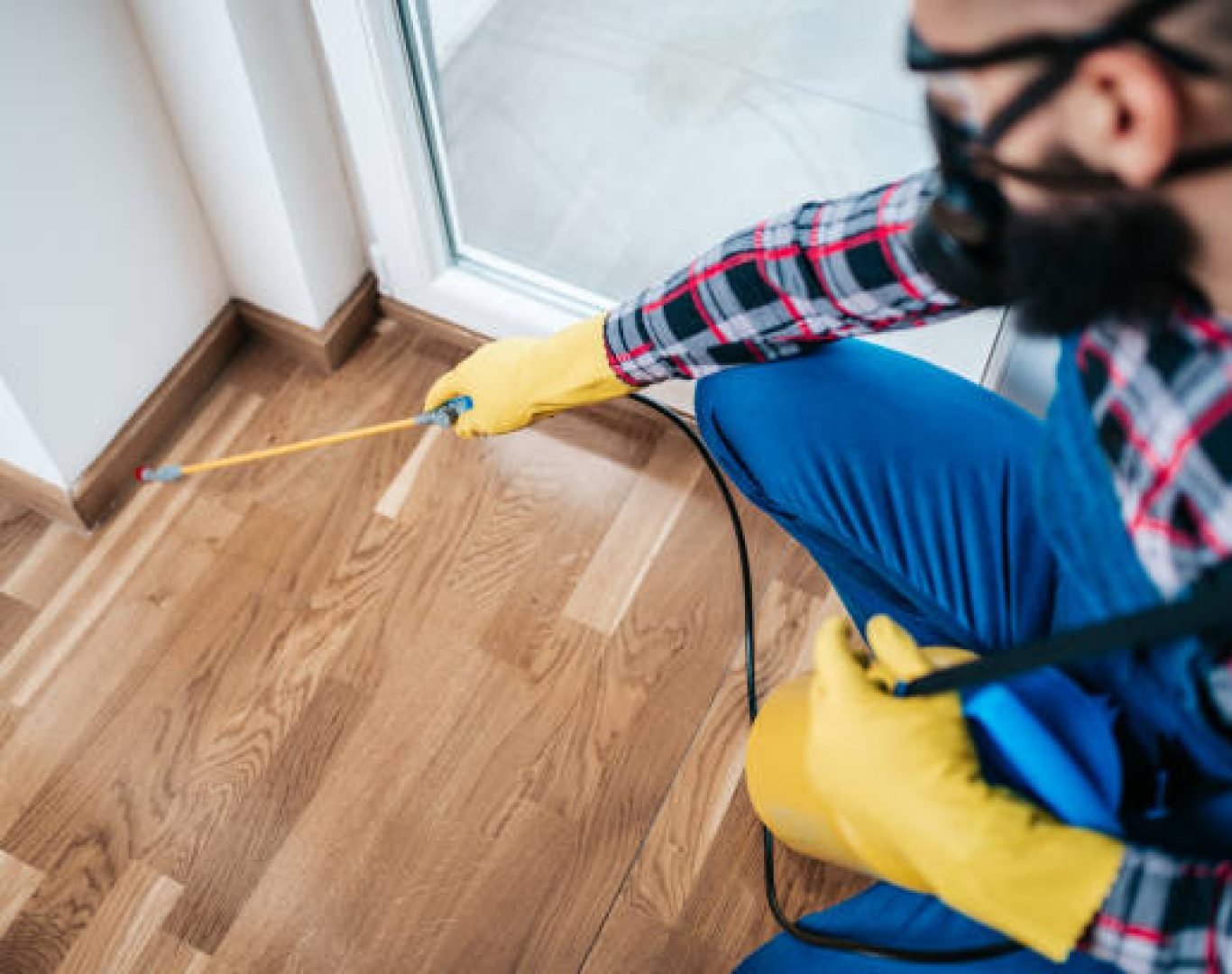 Licensed professional conducting termite inspection near San Diego walls