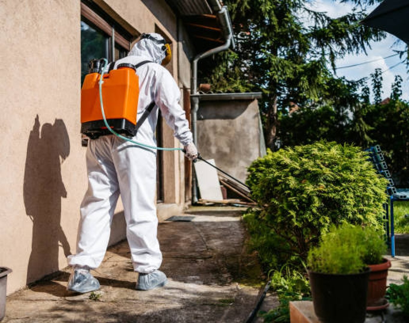 DeAnza Termite & Pest Control treating residential pests in Fallbrook, CA