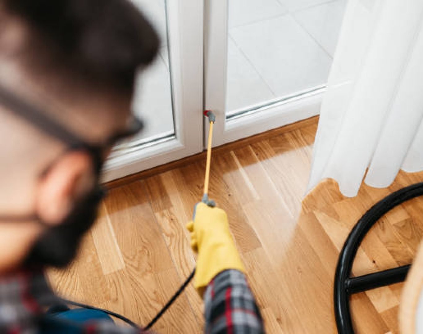 Professional pest extermination services by DeAnza Termite and Pest Control