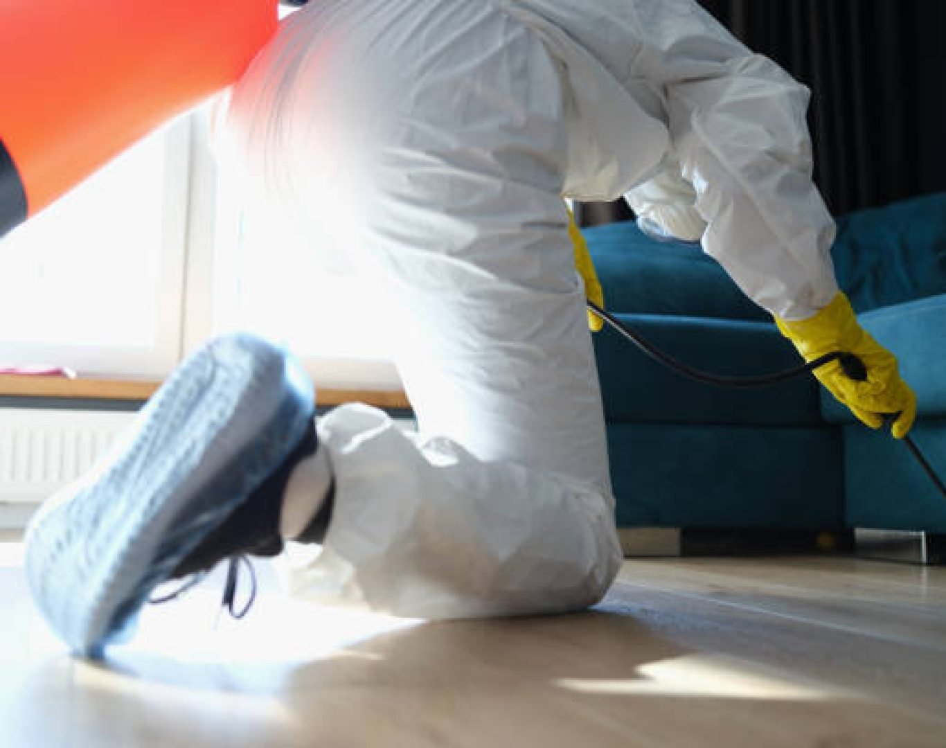 Technician performing pest inspection at a Deluz - CA property while examining attic access and exterior gaps