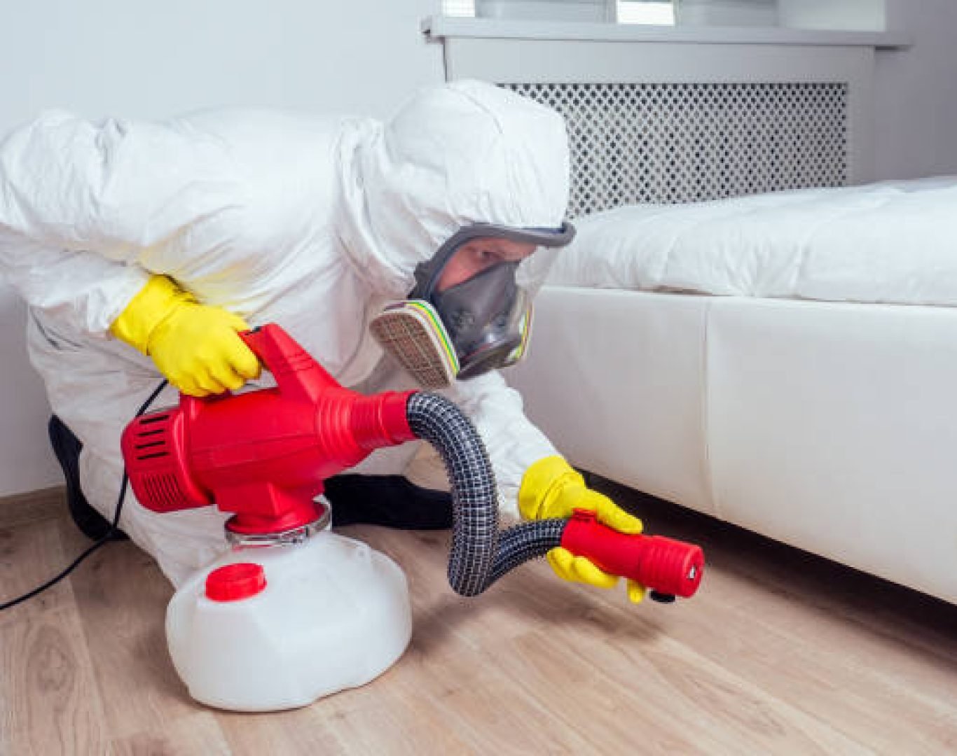 Home pest control service targeting termites and common household pests