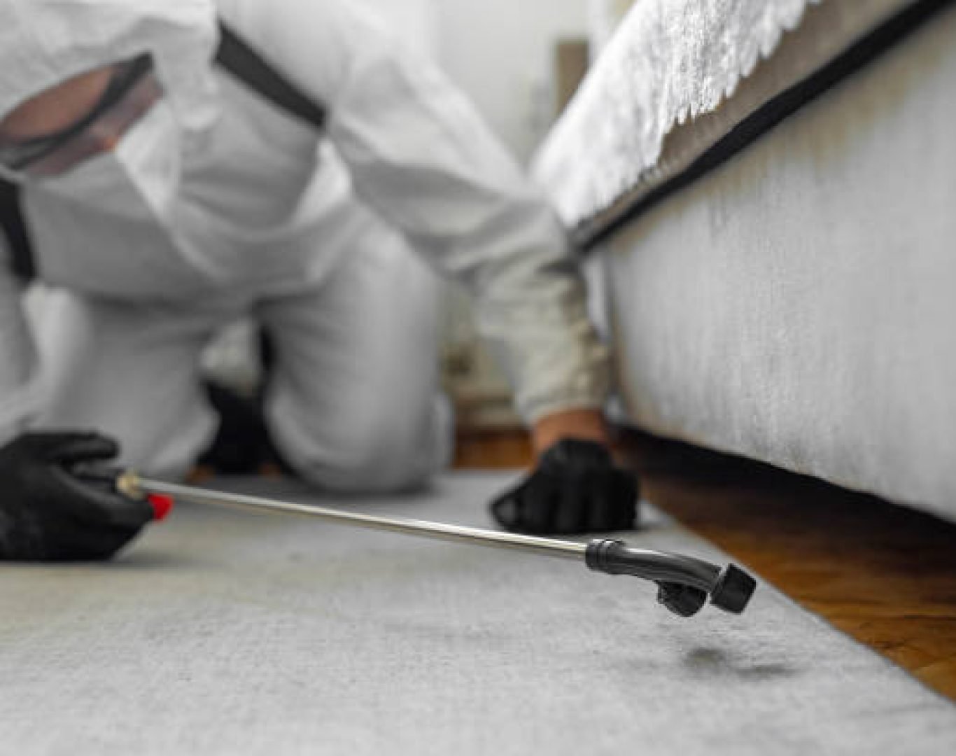 Pest control professional spraying for ants and bugs near foundation