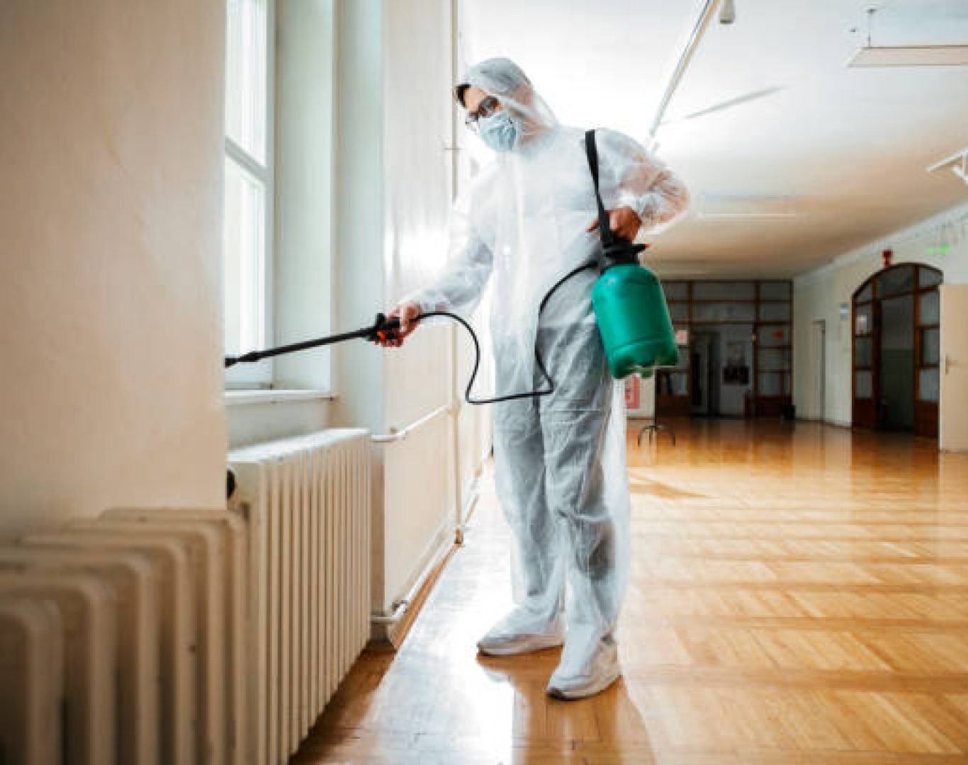 Residential pest control services by DeAnza Termite and Pest Control team