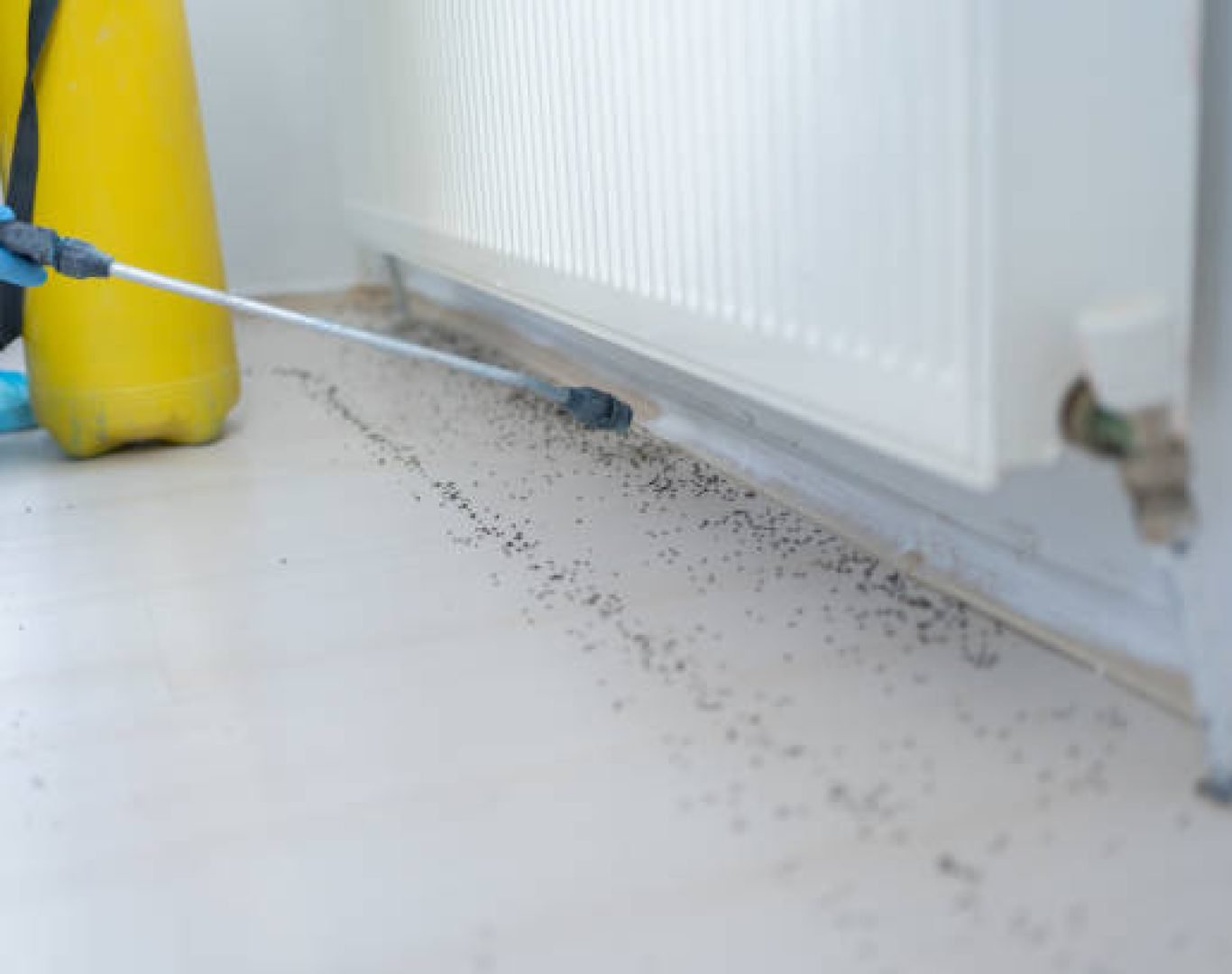 Termite inspection technician examining Murrieta home